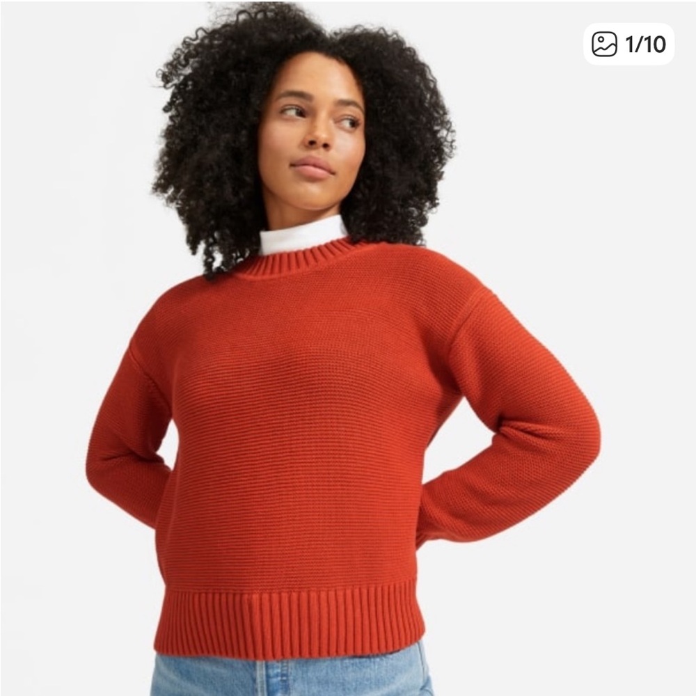 Everlane The Link-Stitch Crewneck Sweater in Rust